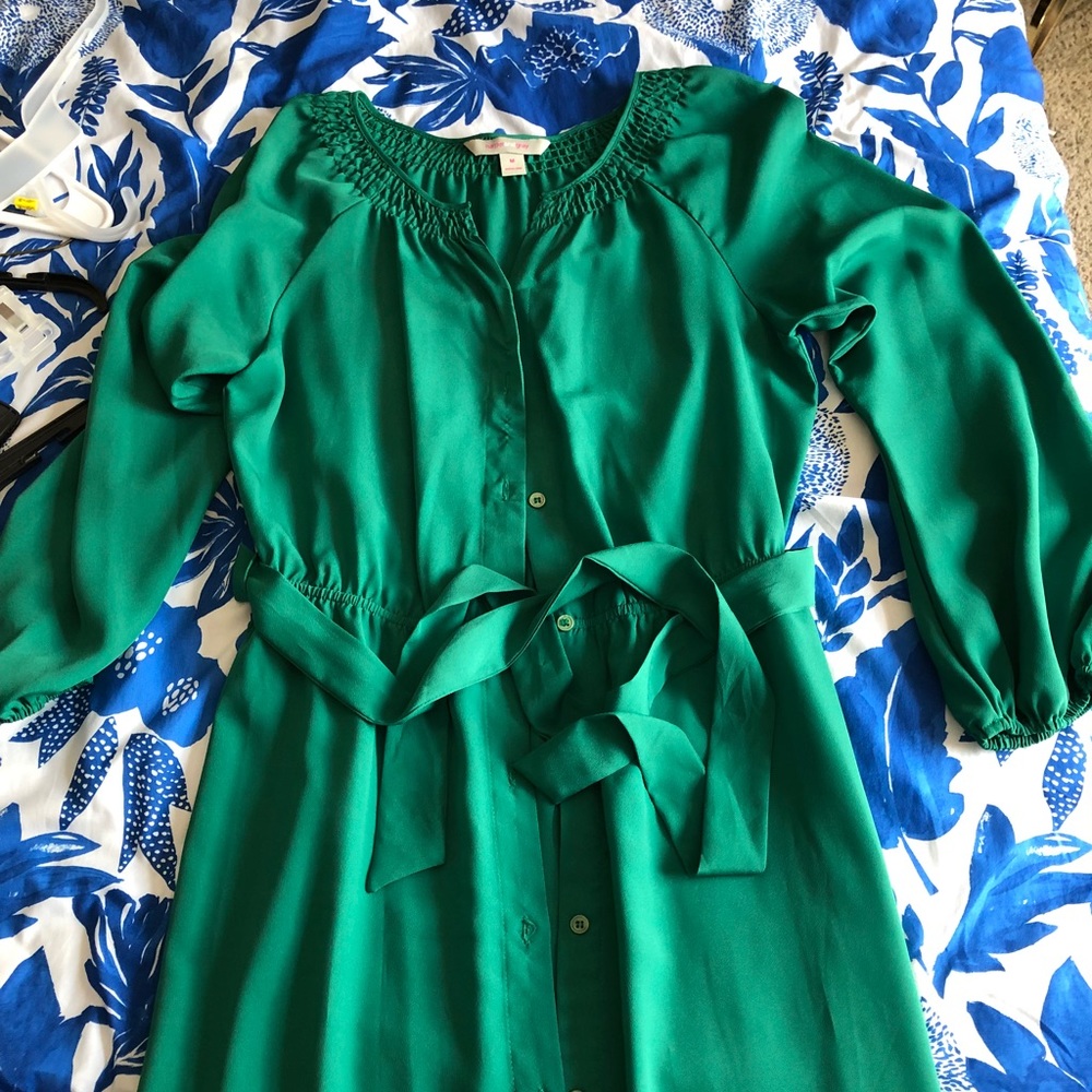 Long sleeved silky dress